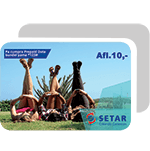 setar-afl10